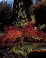 Norlys Rena Nedgravningsspot - Firkantet - Belysning Norlys Rena Nedgravningsspot - Firkantet - Belysning