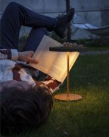 Asteria Move Bordlampe - Antracit/Grå Asteria Move Bordlampe - Antracit/Grå